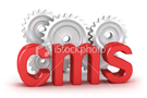 Content Management Systems